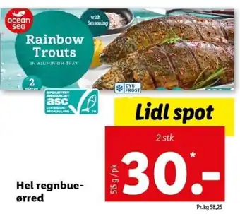 Hel Regnbue Ørred 515 g