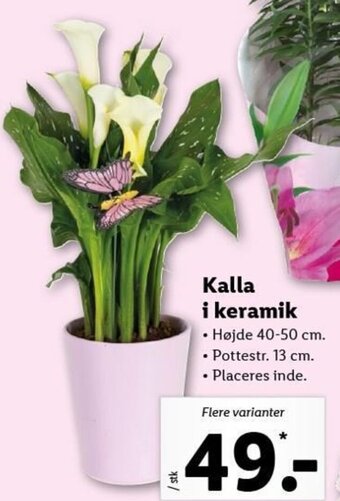 Lidl Kalla I Keramik tilbud