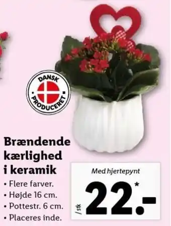 Lidl Brændedde Kærlighed I Keramik tilbud