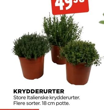 jem & fix Krydderurter tilbud