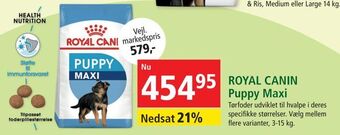 Maxi Zoo ROYAL CANIN Puppy Maxi tilbud