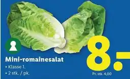 Lidl Mini-romainesalat tilbud