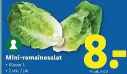 Lidl Mini-romainesalat tilbud