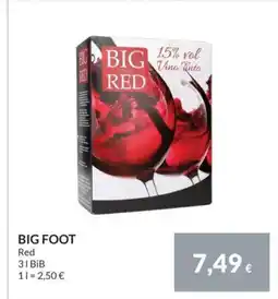 Nielsen's Discount Big foot tilbud