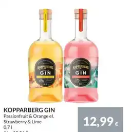 Nielsen's Discount Kopparberg gin tilbud