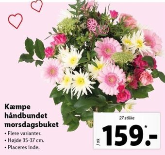 Lidl Kæmpe Håndbundet Morsdagsbuket tilbud