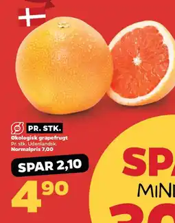 Netto Økologisk grapefrugt tilbud