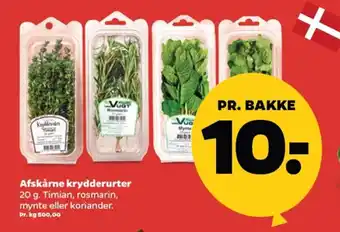 Netto Afskårne krydderurter tilbud