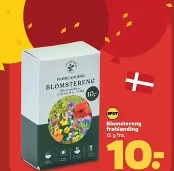 Netto Blomstereng froblanding tilbud