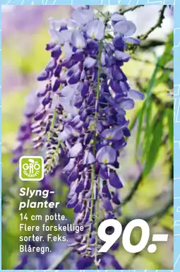 Bilka Slyng planter tilbud