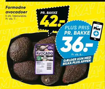 Bilka Formodne avocadoer tilbud