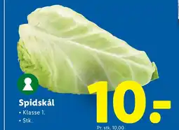 Lidl Spidskål tilbud