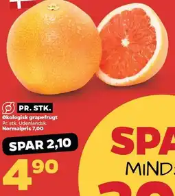 Netto Økologiske grapefrugt tilbud