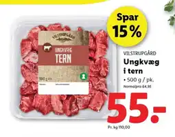 Lidl Ungkvæg i tern VILSTRUPGÅRD tilbud