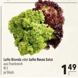 Citti Lollo Bionda oder Lollo Rosso Salat tilbud