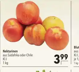 Citti Nektarinen aus Südafrika oder Chile KI.I tilbud