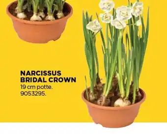 jem & fix Narcissus bridal crown tilbud