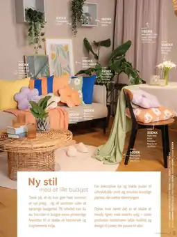 BigDollar Pude tilbud