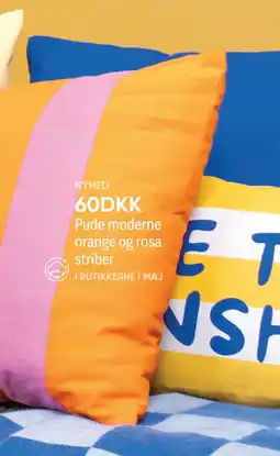 BigDollar Pude tilbud