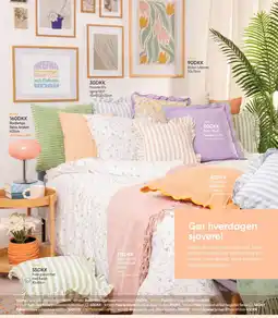 BigDollar Pude tilbud