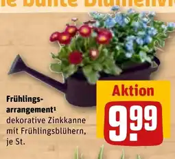 REWE Frühlings- arrangement¹ dekorative Zinkkanne mit Frühlingsblühern, je St. tilbud