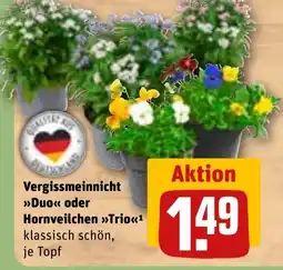 REWE Vergissmeinnicht >>Duo<< oder Hornveilchen >>Trio<<1 tilbud