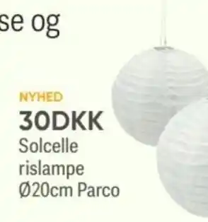 BigDollar NYHED 30DKK Solcelle rislampe tilbud