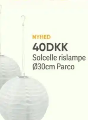 BigDollar NYHED 40DKK Solcelle rislampe 030cm Parco tilbud