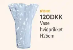 BigDollar Vase hvidprikket tilbud