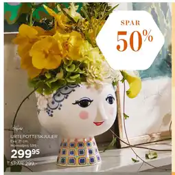 Salling URTEPOTTESKJULER tilbud
