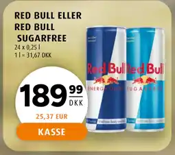 Scandinavian Park RED BULL ELLER RED BULL SUGARFREE tilbud