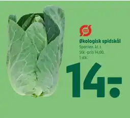 Coop 365 Økologisk spidskål tilbud