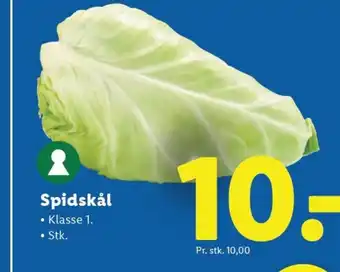 Lidl Spidskål tilbud