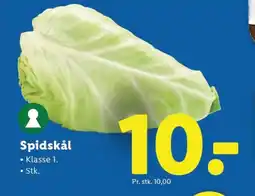 Lidl Spidskål tilbud