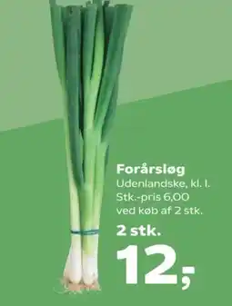 Forårsløg