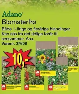 Harald Nyborg Blomsterfrø tilbud