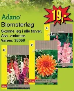 Harald Nyborg Blomsterløg tilbud