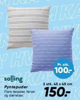 Bilka SALLING Pyntepuder tilbud