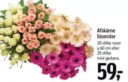 Føtex Afskårne blomster tilbud