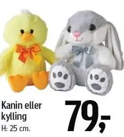 Føtex Kanin eller kyllling tilbud