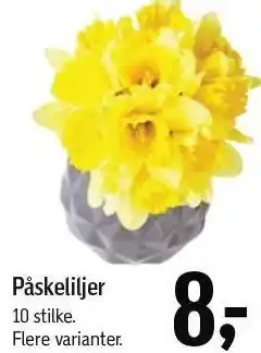 Føtex Påskeliljer tilbud