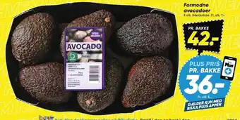 Bilka Formodne avocadoer tilbud