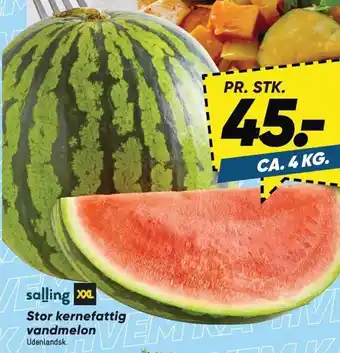 Bilka Salling Stor kernefattig vandmelon tilbud