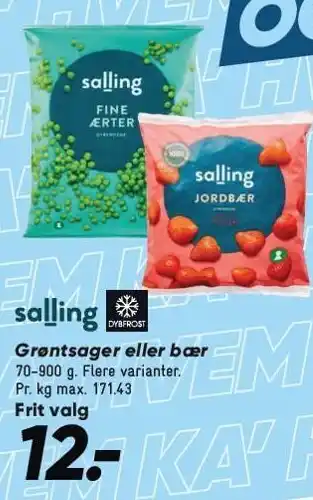 Bilka SALLING Grøntsager eller bær tilbud