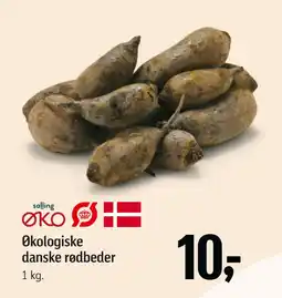 Føtex Økologiske danske rødbeder tilbud