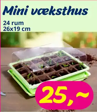 Hi five Mini v æksthus tilbud