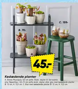 Bilka Glas med kødædende planter tilbud