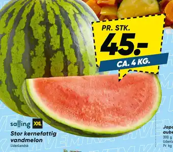 Bilka Stor kernefattig vandmelon tilbud