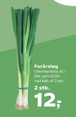 Forårsløg