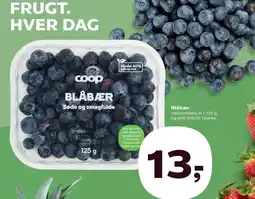 Kvickly Blåbær tilbud